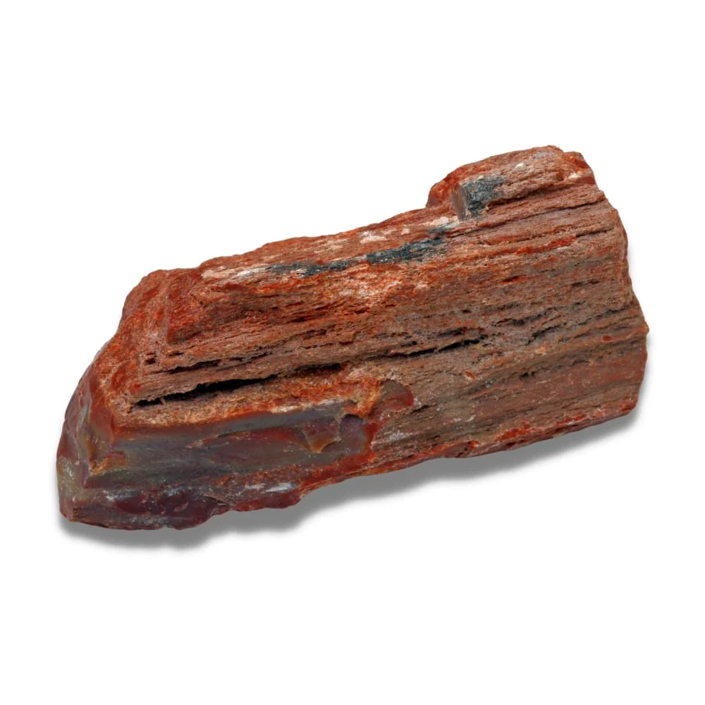 Bois pétrifié