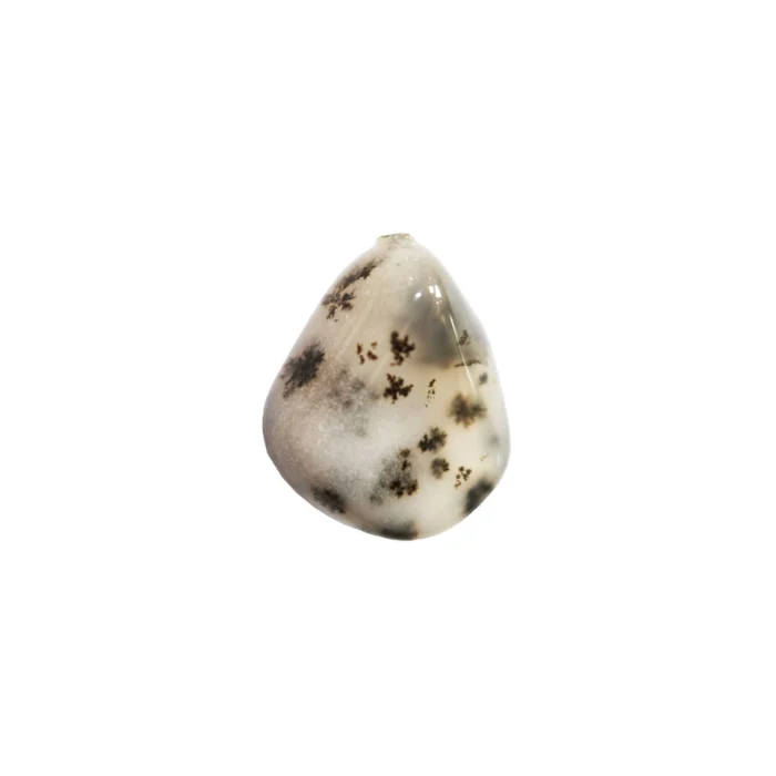 Agate dendritique